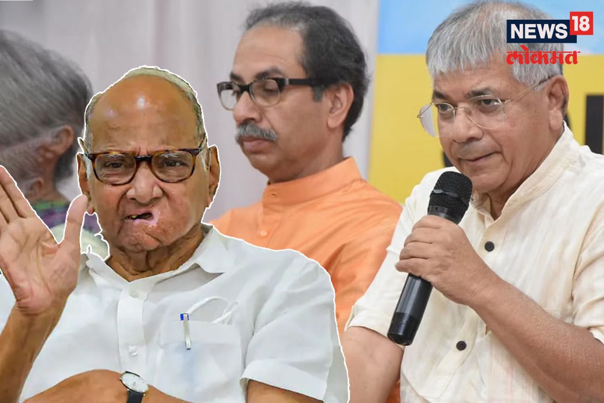 प्रकाश आंबेडकर यांनी स्पष्टचं सांगितलं