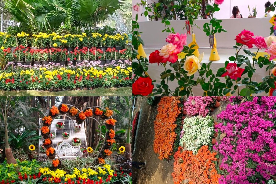थंडीच्या आल्हादायक वातावरणात वेगवेगळ्या फुलांनी नटलेली एम्प्रेस गार्डन पाहण्याची संधी पुणेकरांना या निमित्तानं मिळाली आहे. 