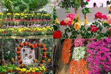 Pune : थंडीचं वातावरण फुलांनी करा आणखी प्रसन्न, पुष्पप्रदर्शनाचा घ्या फ्रेश अनुभव Photos Pune : थंडीचं वातावरण फुलांनी करा आणखी प्रसन्न, पुष्पप्रदर्शनाचा घ्या फ्रेश अनुभव Photos