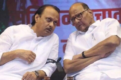 अजित पवार, शरद पवार  