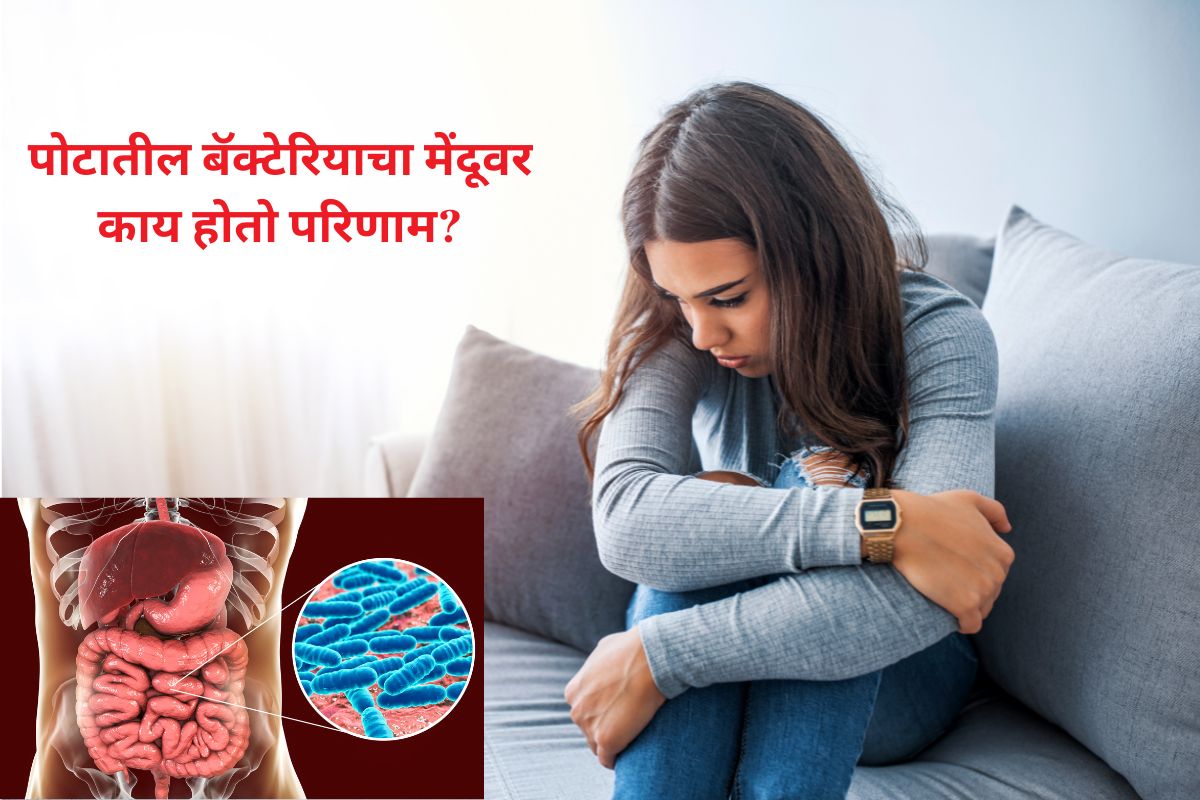 पोटातील बॅक्टेरिया आणि नैराश्याचा संबंध