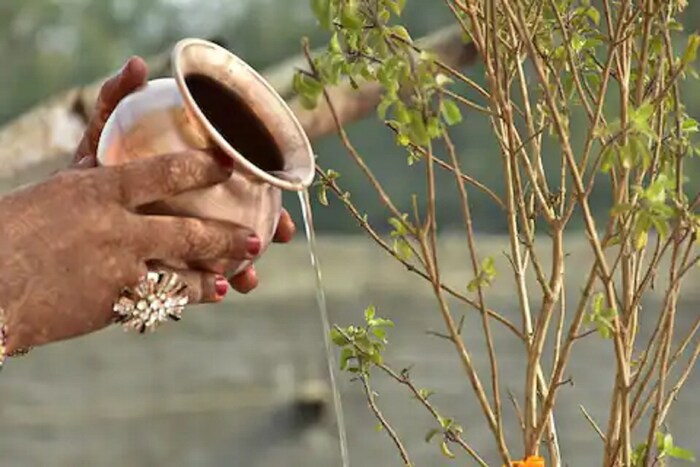 नशीबाची साथ मिळण्यासाठी - तुम्ही हातात घेतलेल्या कामांमध्ये यश मिळत नसेल आणि नशीब तुम्हाला साथ देत नसेल तर त्यासाठी पिठाचा दिवा बनवा आणि त्यात चिमूटभर हळद टाका आणि संध्याकाळी तुळशीसमोर लावा. हा दिवा तुळशीच्या मुळांमध्ये उत्तर दिशेला ठेवल्यास नशीब साथ देते आणि अडकलेली कामंही होऊ लागतात, असे मानले जाते.  (सूचना : येथे दिलेली माहिती धार्मिक श्रद्धेवर आधारित आहे. याला कोणताही शास्त्रीय पुरावा नाही. न्यूज 18 लोकमत त्याची हमी देत नाही.)