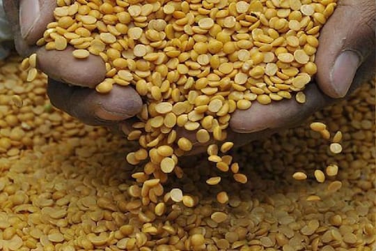 'या' लोकांनी चुकूनही खाऊ नये तूर डाळ! तब्येतीवर होईल गंभीर परिणाम