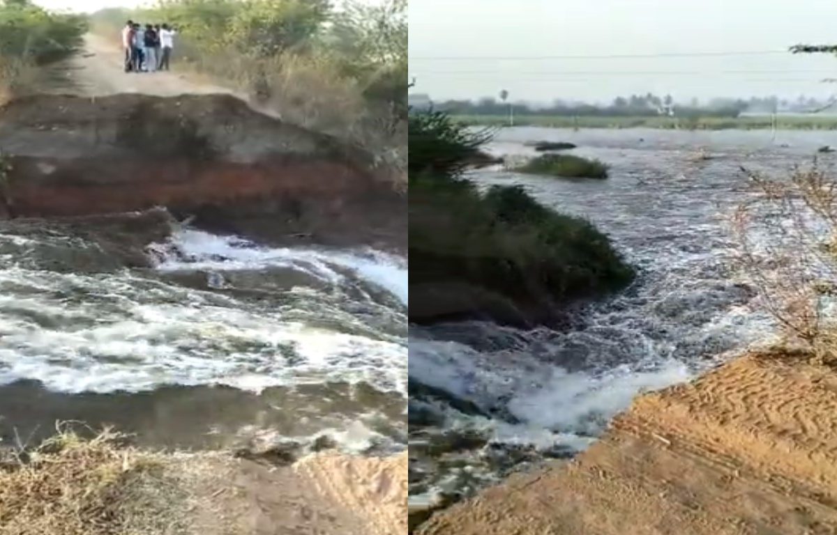 Solapur Ujava Kalva : व्हिडीओ! सोलापूरमध्ये उजनीचा उजवा कालवा फुटला, शेतकऱ्यांच्या घरांसह द्राक्षे, उसात पाणी