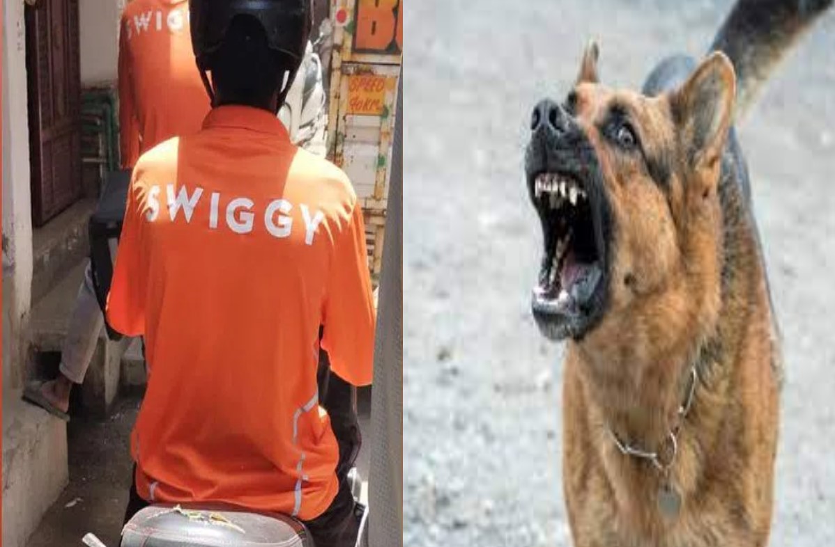 फूड डिलिव्हरी बॉयने कुत्र्याच्या भीतीने घेतली तिसऱ्या मजल्यावरून उडी; कुत्र्याच्या मालकिणीविरोधात गुन्हा दाखल