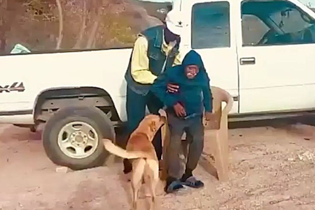 कुत्रा त्याच्या मालकासोबत