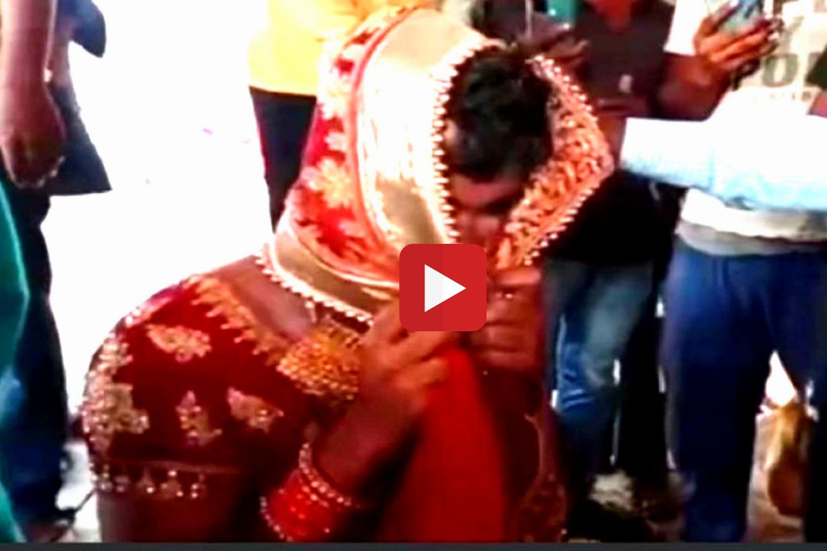 व्हायरल व्हिडीओ