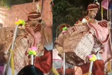 नवरीला उचलताना नवरदेवही पायऱ्यांवरून पडला, उपस्थितांनाही आवरले नाही हसू