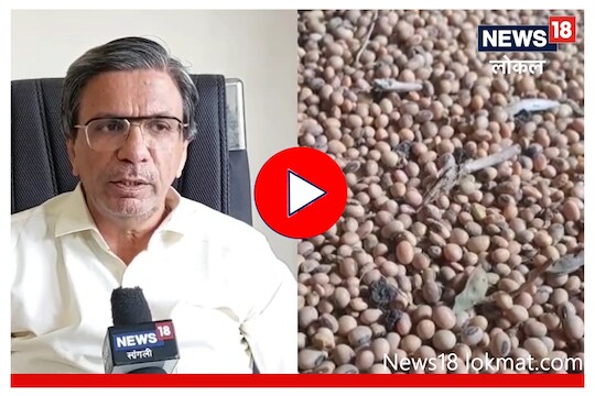 when will the price of soybeans increase