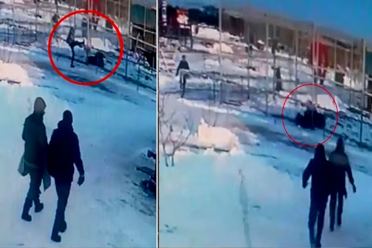 व्हायरल व्हिडीओ