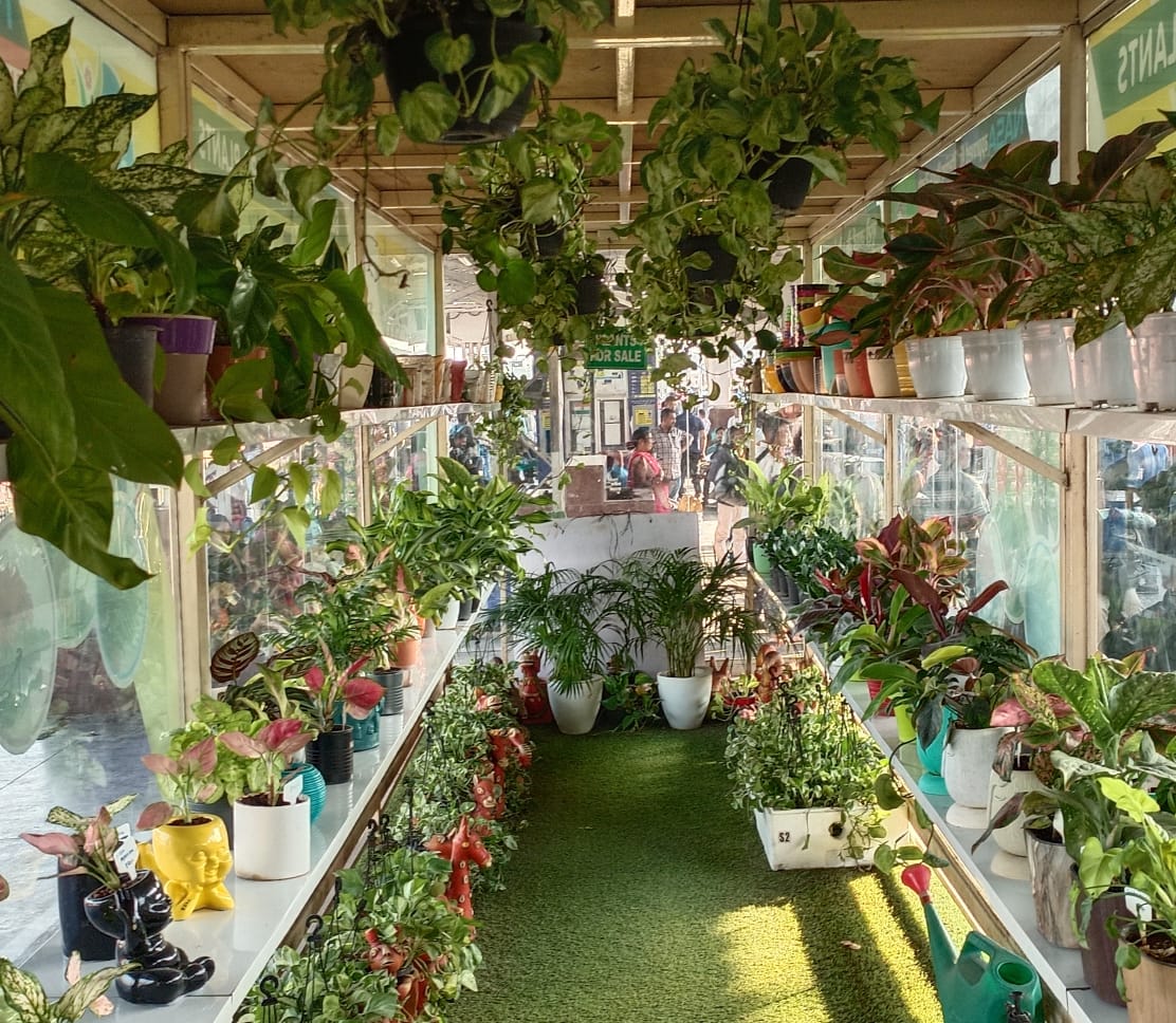 नाशिकरोड रेल्वे स्टेशनवर ऑक्सिजन पार्लर उभारण्यात आलं आहे. एखाद्या रेल्वे स्टेशनवरील हा पहिलाच प्रयोग आहे.