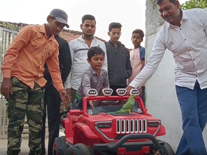 पोपट कारमधून बसून वरात घेऊन मैनेच्या घरी आला आणि त्याच कारमध्ये बसून मैना पोपटच्या घरी म्हणजे आपल्या सासरी केली. सासरी तिचं अगदी सुनेप्रमाणे जंगी स्वागत झालं.दोघांनी सात फेरे घेतले.