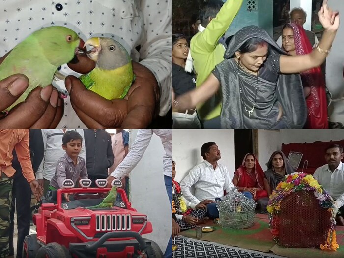 या लग्नासाठी तसं कुणाला आमंत्र्ण देण्यात आलं नव्हंत पण जशी याची माहिती झाली तसे बरेच लोक या अनोख्या विवाहसोहळ्यात सहभागही झाले. संपूर्ण गावाने वधू-वराला आशीर्वाद दिल्याचं कुटुंबाने सांगितलं.