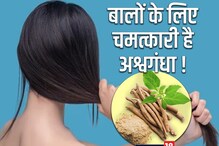 केस वाढवण्यासाठी सर्वोत्तम अश्वगंधा! हेयर केयर रुटीनमध्ये अशाप्रकारे करा सामील