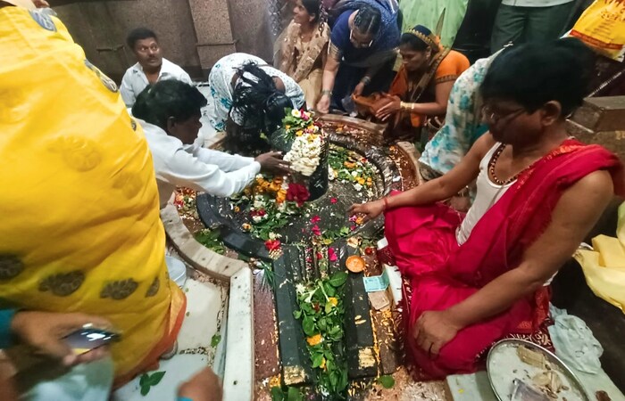 प्रभू वैद्यनाथाच्या दर्शनासाठी देश आणि विदेशातून भाविक येत असतात.