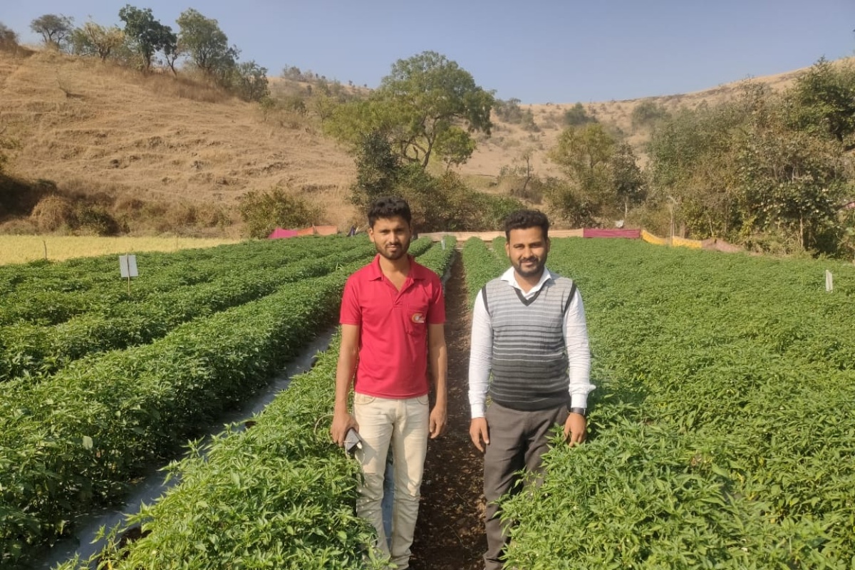 Success Story : खडकाळ जमिनीत बहरली हिरवीगार मिरची, दुष्काळग्रस्त भागातील शेतकरी झाला लखपती!