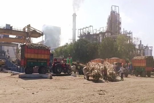 Beed: ऊसतोड कामगारांच्या बीड जिल्ह्यातच शेतकरी अडचणीत, 3 महिने उलटले तरी...