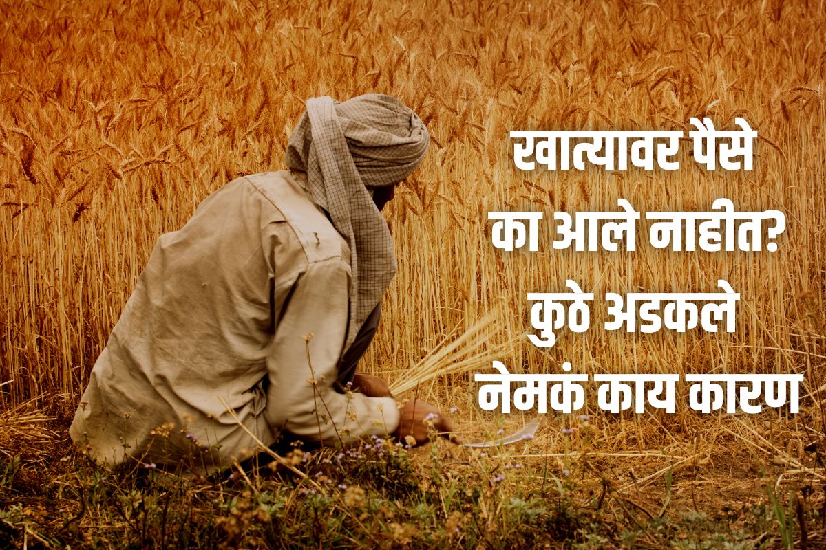 PM Kisan Yojana : तुमच्या खात्यावर आले नाहीत पैसे? मग असू शकतात ही 5 कारणं