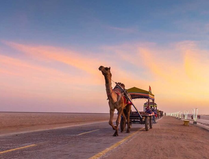 ही ट्रेन फुलेरा, गुरुग्राम, रेवाडी, रिंगास आणि अजमेर येथे थांबेल जिथे प्रवासी या ट्रेनमध्ये चढू शकतात. या टूर पॅकेजच्या माध्यमातून तुम्हाला केवडिया येथील स्टॅच्यू ऑफ युनिटी पाहता येणार आहे. या टुरिस्ट ट्रेनमध्ये चार फर्स्ट एसी डब्यांचा समावेश करण्यात आलाय.
