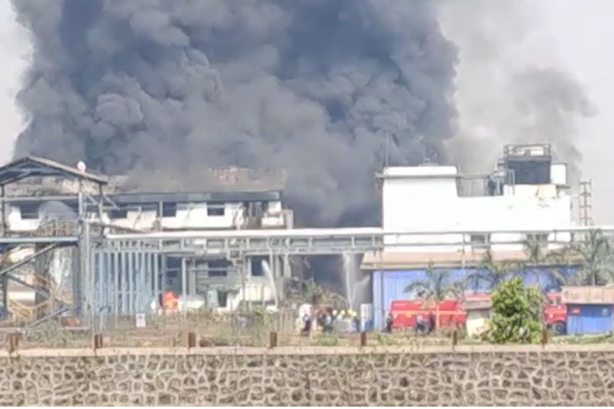 कारखान्याला भीषण आग