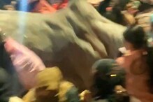 Video : उस्मानाबादेत उरुसासाठी जमलेला गर्दीत वळू उधळला; चेंगराचेंगरीत 14 जण जखमी Video : उस्मानाबादेत उरुसासाठी जमलेला गर्दीत वळू उधळला; चेंगराचेंगरीत 14 जण जखमी