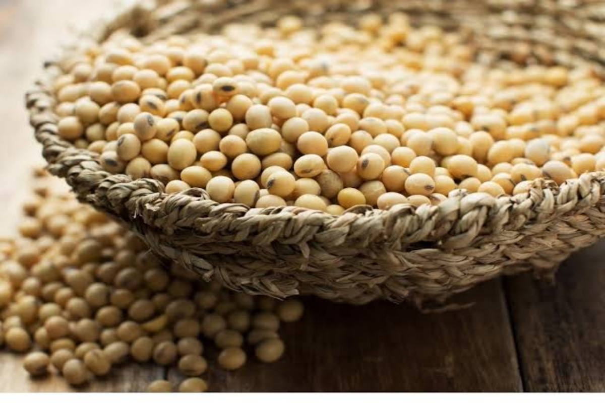 सोयाबीन उत्पादक शेतकऱ्यांची प्रतीक्षा संपली! 'या' कारणांमुळे वाढणार भाव