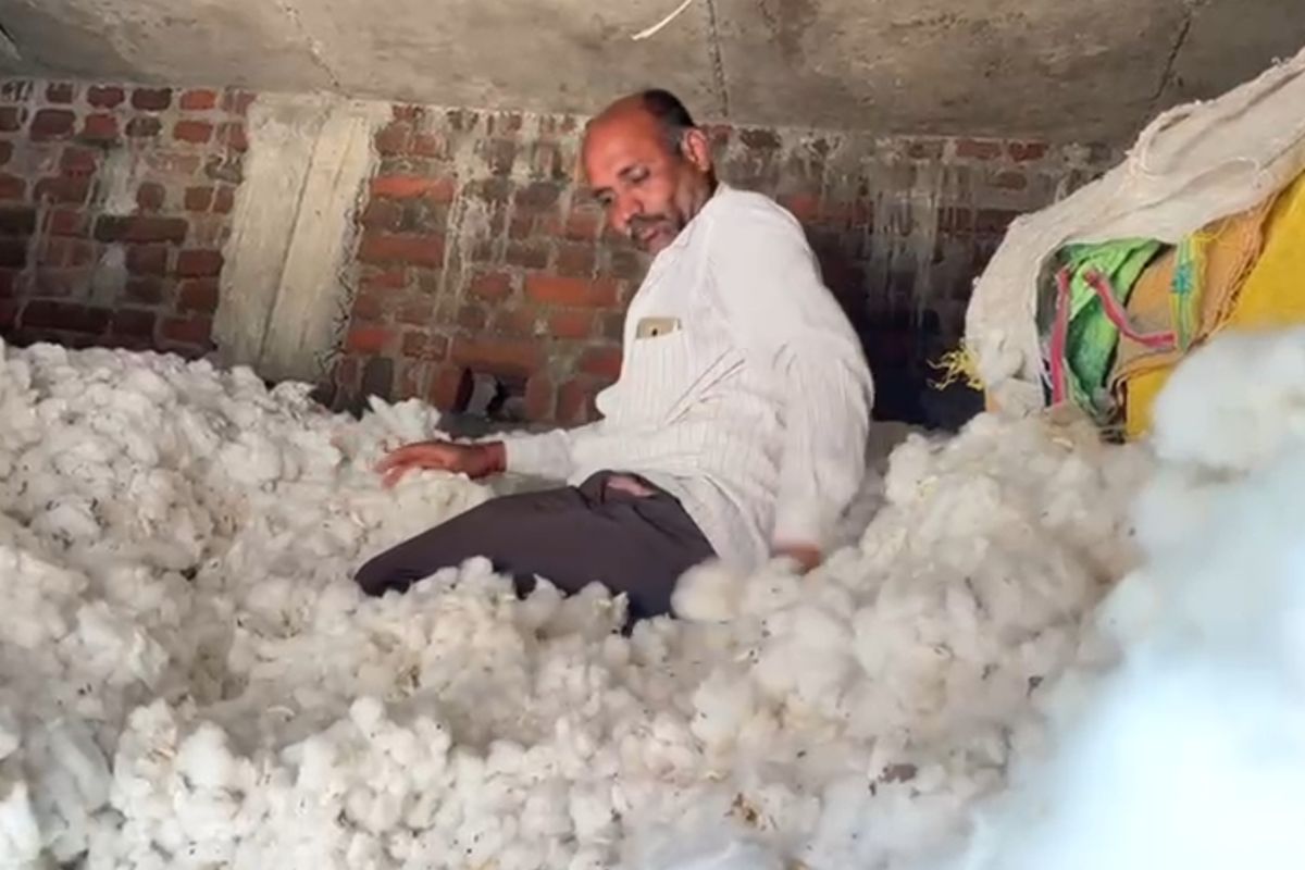 शेतकऱ्यांचा कापूस घरातच; बीडचा शेतकरी पुन्हा संकटात