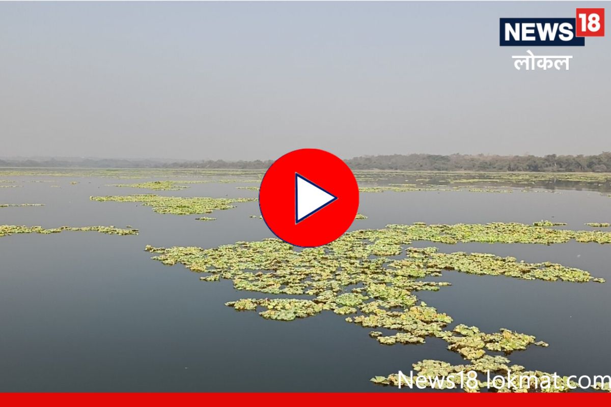 Nagpur : शहर स्वच्छतेसाठी कोट्यवधींंचा खर्च, सर्वात मोठा तलाव मात्र प्रदूषणाच्या विळख्यात, Video