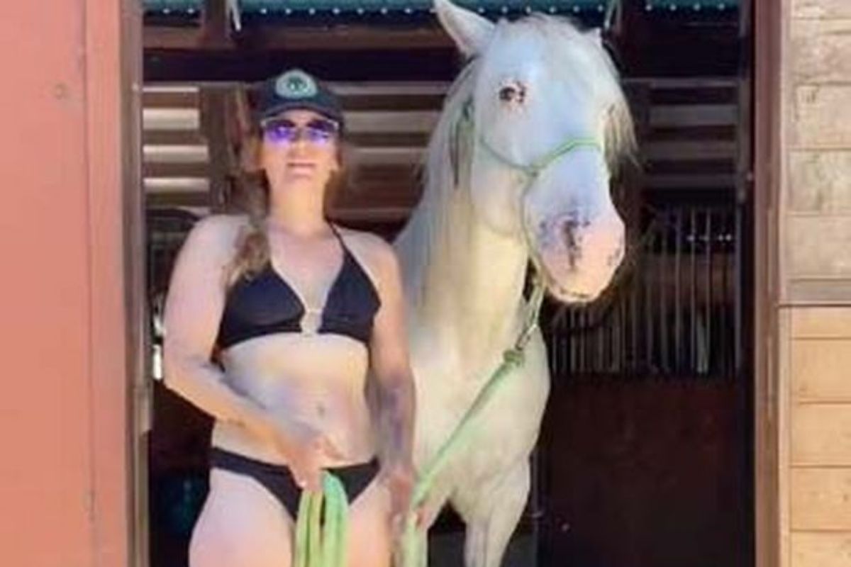 व्हायरल