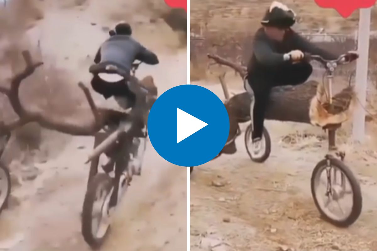 व्हायरल व्हिडीओ