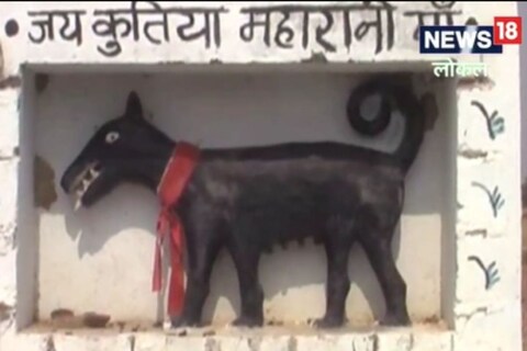  ‘कुतिया महारानी’ची मूर्ती 