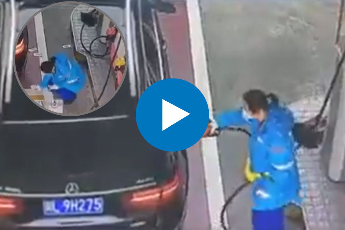 व्हायरल व्हिडीओ