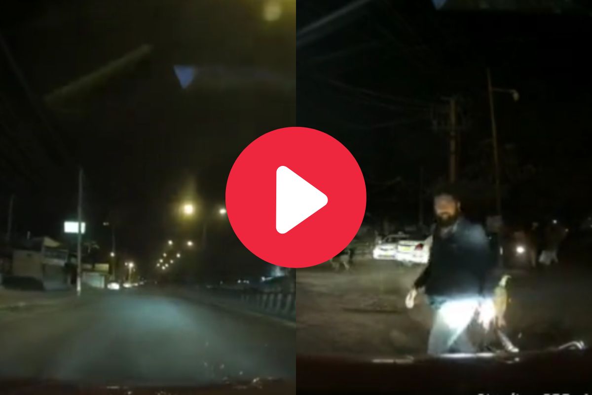 व्हायरल