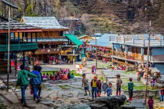 व्हायरल