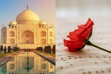 Valentine’s Day: शाहजहान-मुमताज ते बाजीराव-मस्तानी; या आहेत अजरामर प्रेम कथा