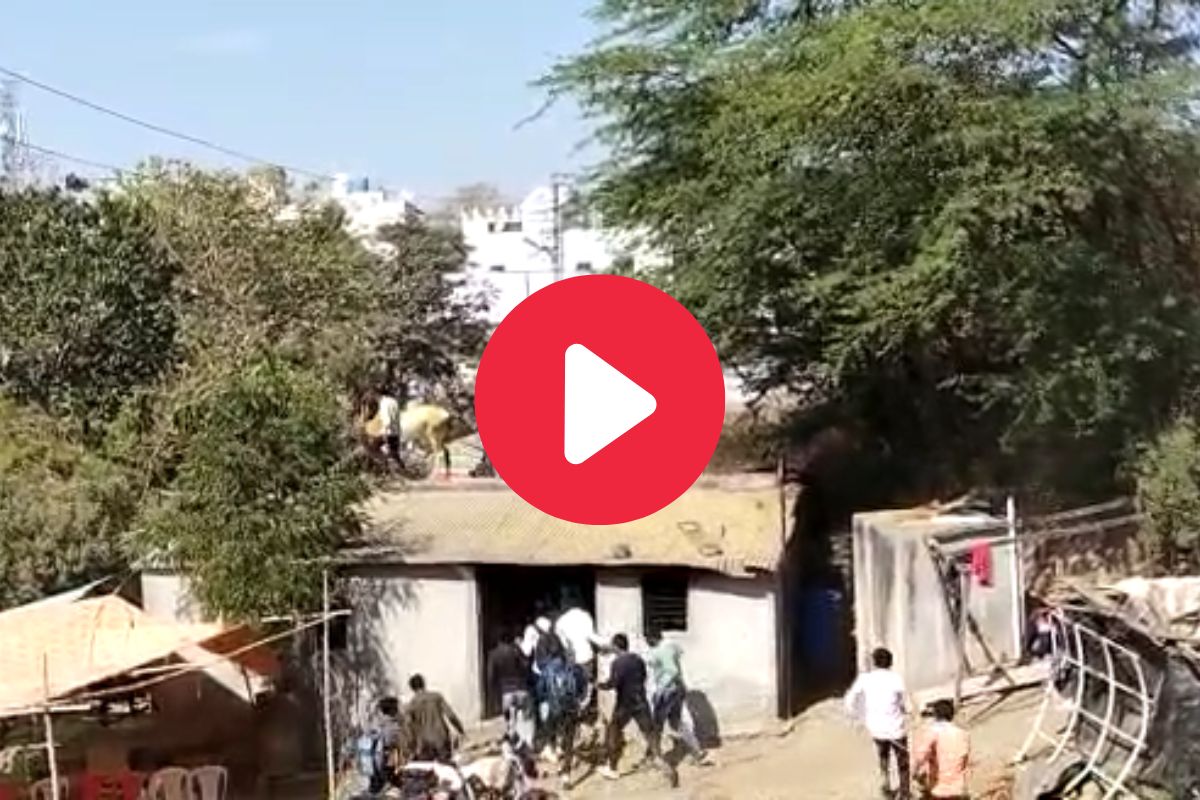 व्हायरल व्हिडीओ