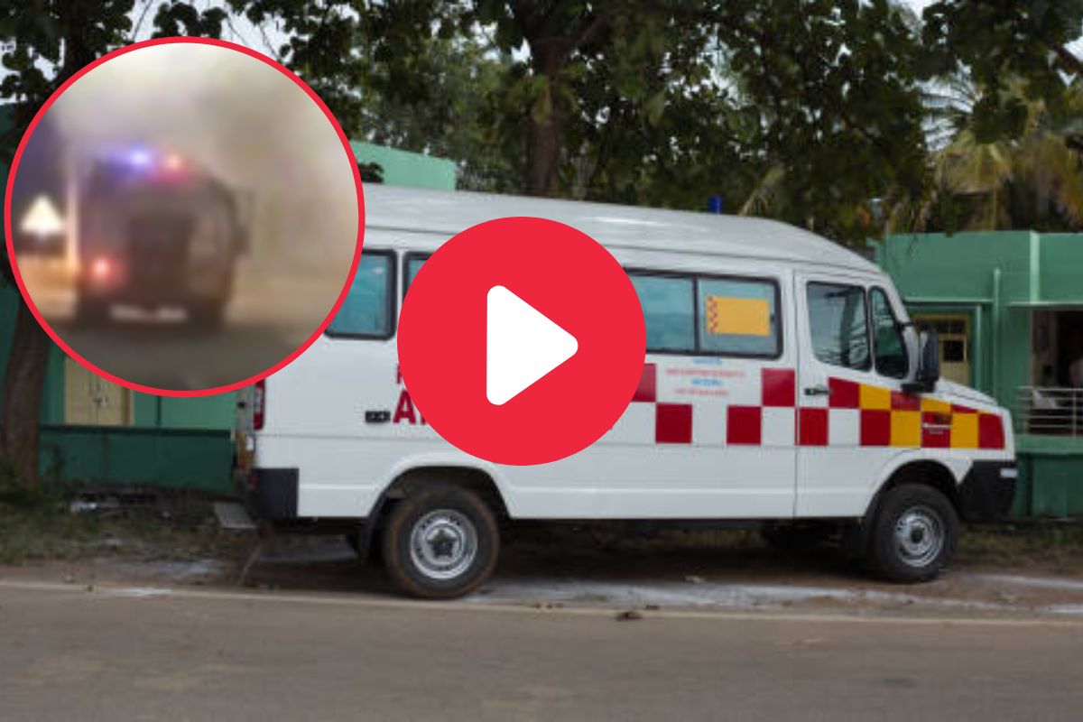 व्हायरल