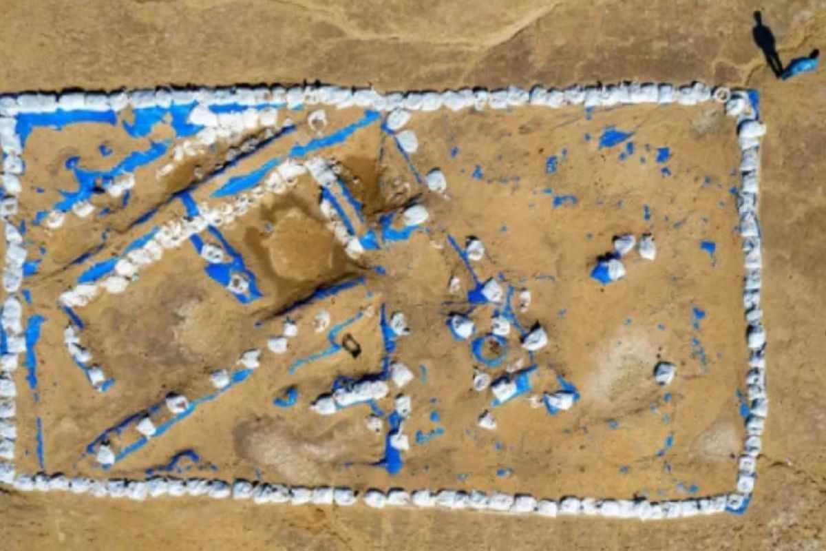 व्हायरल