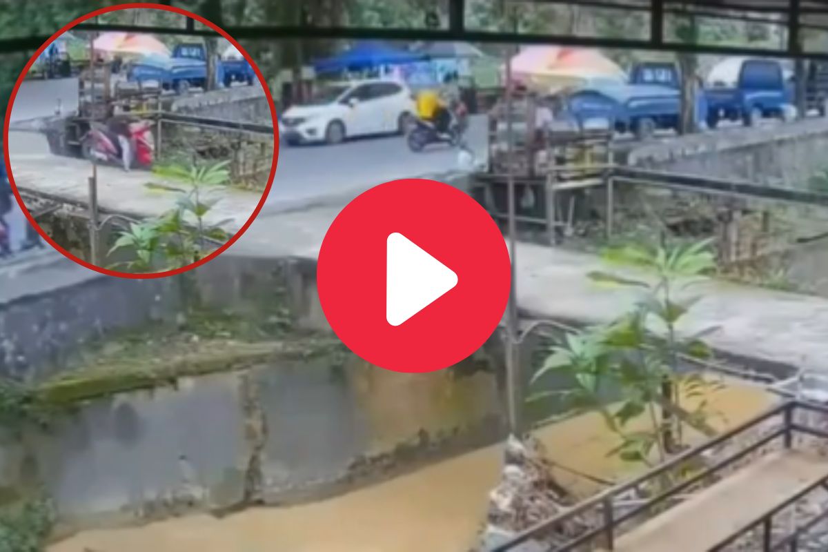 व्हायरल व्हिडीओ