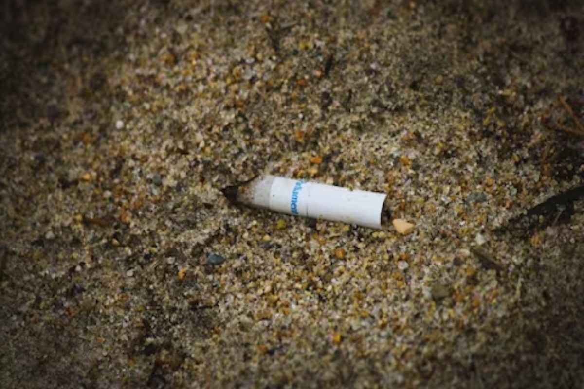 सिगारेटच्या तुकड्याने असं उकललं हत्येचं गूढ; अखेर 52 वर्षांनंतर झाली त्या प्रकरणाची उकल