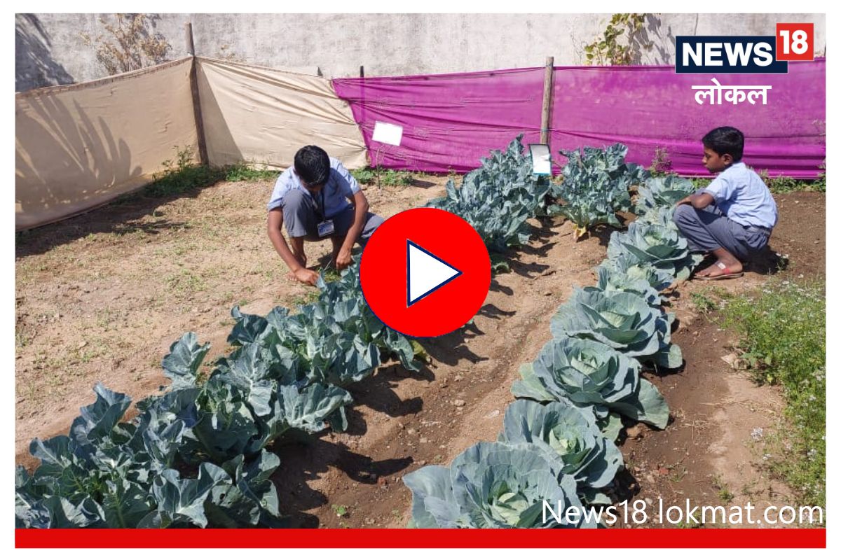 Wardha news: विद्यार्थ्यांनी फुलवली परसबाग, स्पर्धेतून लागली शेतीची गोडी, Video