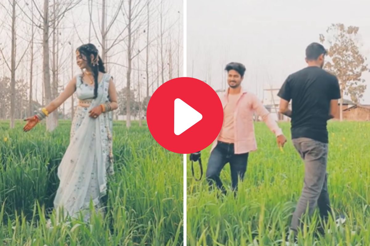 व्हायरल व्हिडीओ