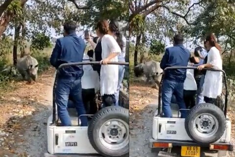 पर्यटक आपल्या कॅमेऱ्याने प्राण्यांचे फोटो काढत असल्याचं स्पष्टपणे दिसत आहे, तेव्हाच तेथे उपस्थित असलेल्या दोन गेंड्यांना राग येतो. ते धावू लागतात. 