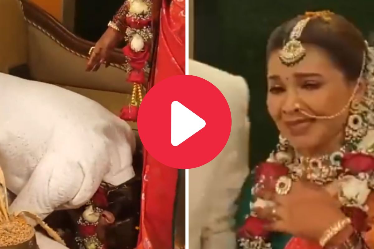 व्हायरल व्हिडीओ