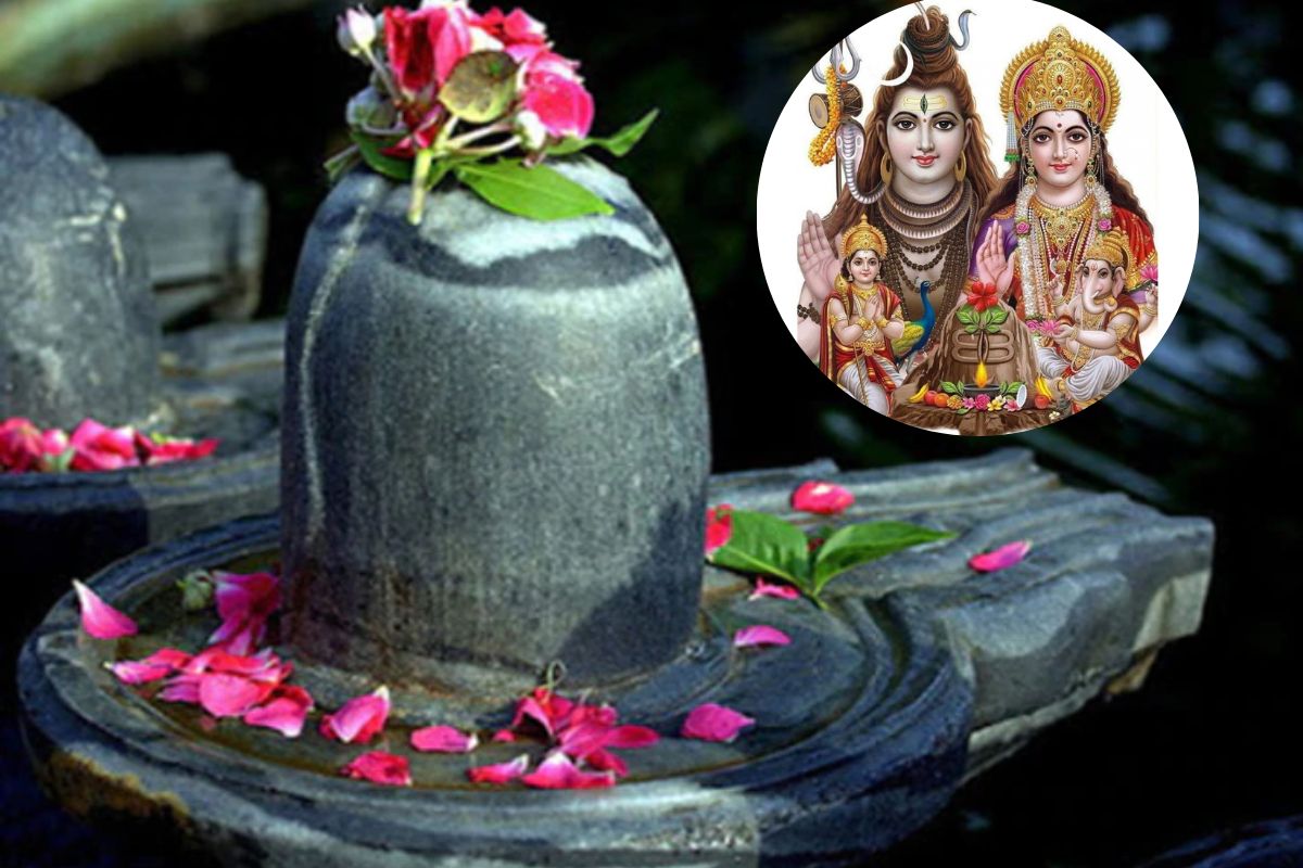 शिवलिंगावर अर्पण कराव्यात या 5 गोष्टी, तुमच्या अनंत अडचणी होतील दूर