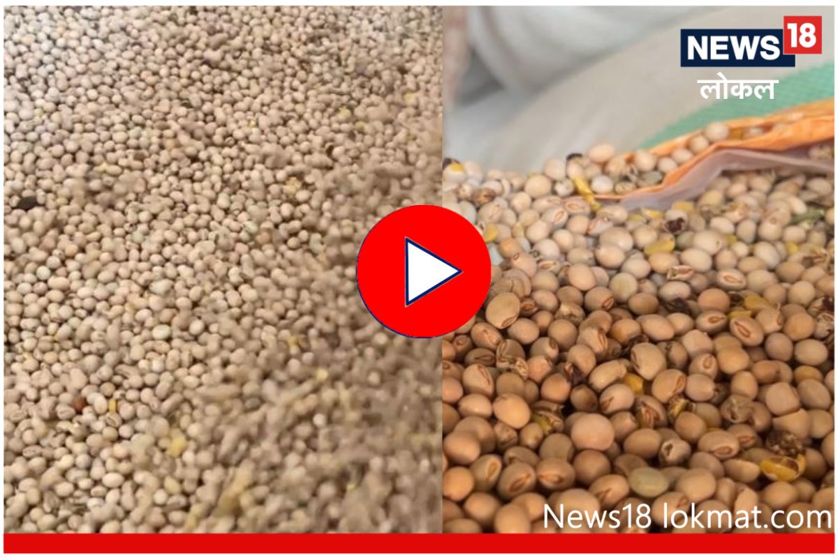 Beed : पांढऱ्या तुरीला परराज्यातून मागणी, चांगला भाव मिळाल्यानं शेतकरी खूश, Video