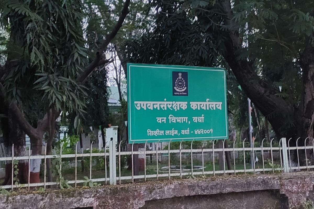 Wardha News: जंगलातील वणवा येणार नियंत्रणात, वनविभागानं शोधला नवा उपाय