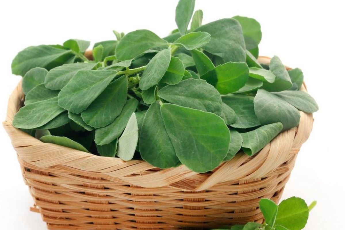 संग्रहित फोटो