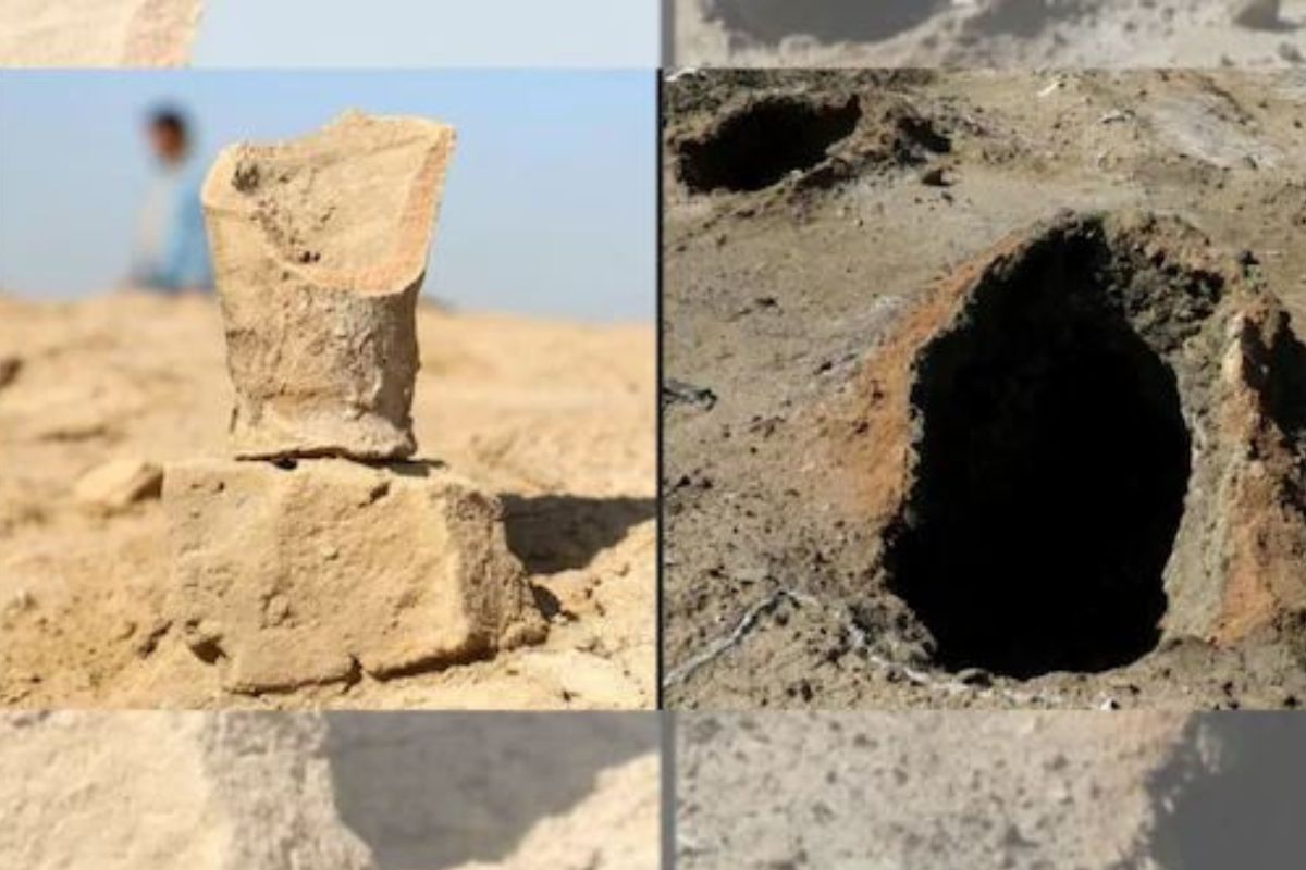 व्हायरल