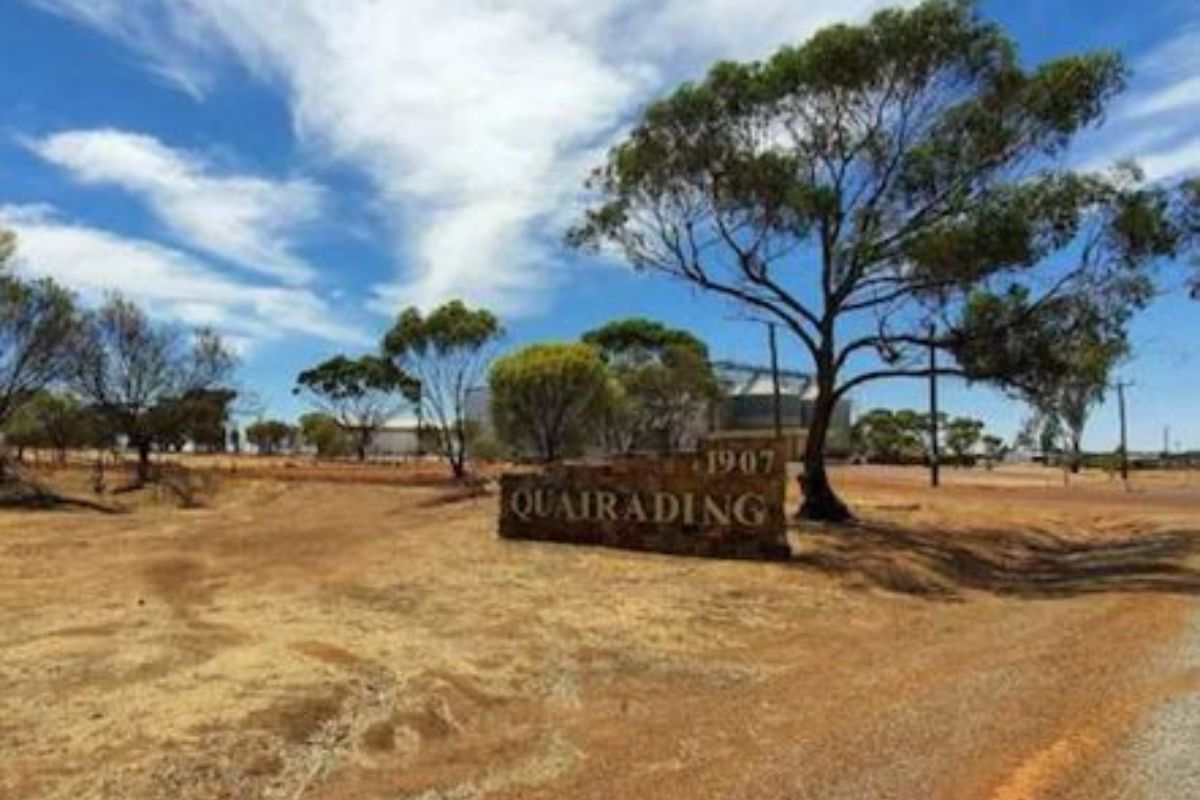 व्हायरल